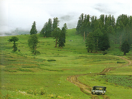 Honeymoon Packages Shogran Naran